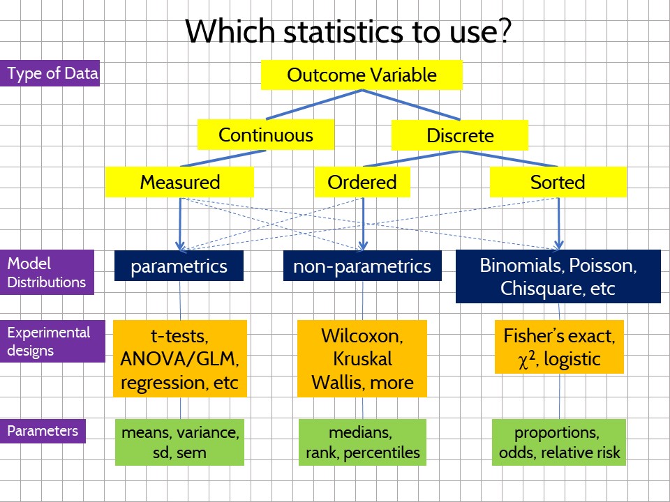 The type of data dictates how the experiment should be modeled and analyzed.