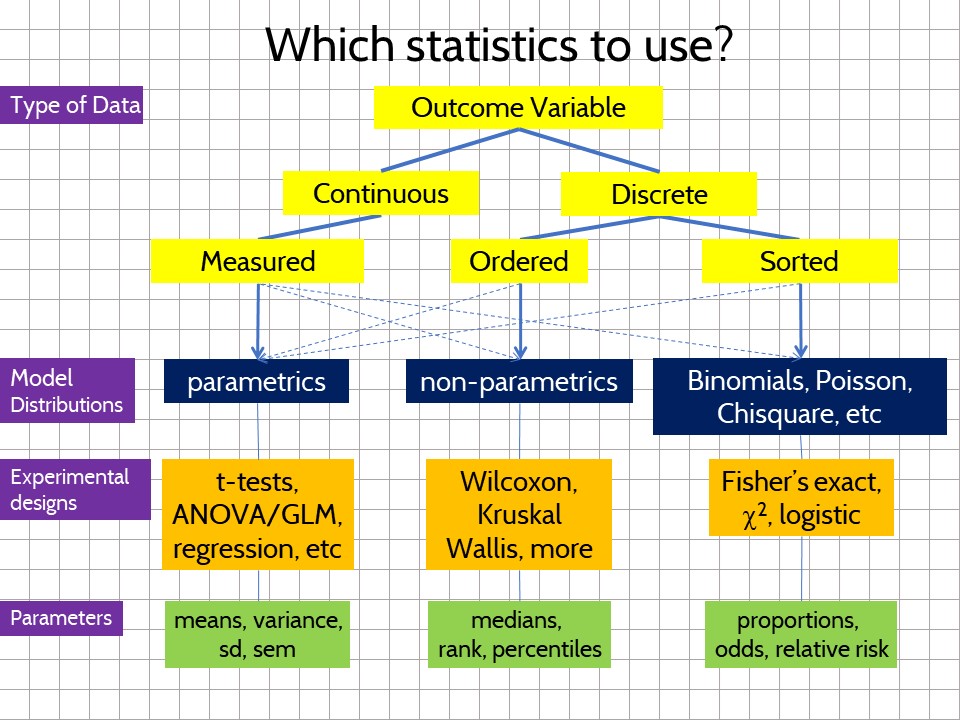 Statistical Test Categorical Independent Variable And Continuous ...